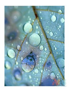 Blue Rain_36x48 watermark